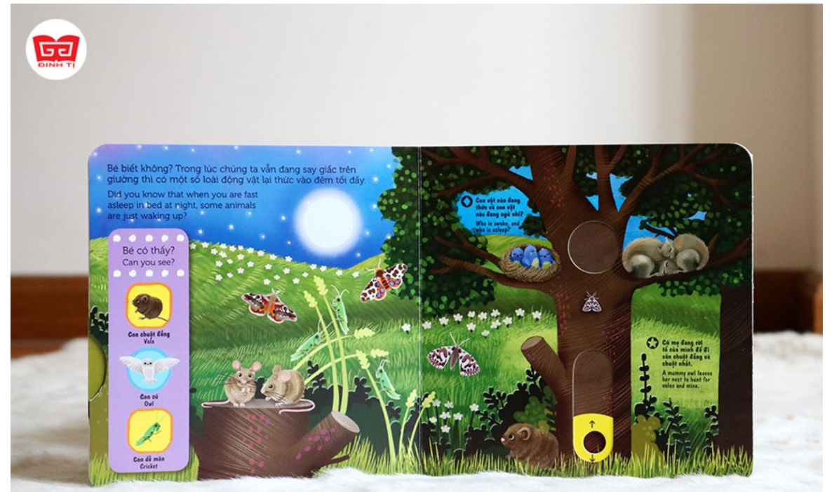 sach-chuyen-dong-first-explorers-night-animals-dong-vat-ban-dem1 sach chuyen dong first explorers night animals dong vat ban dem1 - Tuyển Chọn Sách Hay
