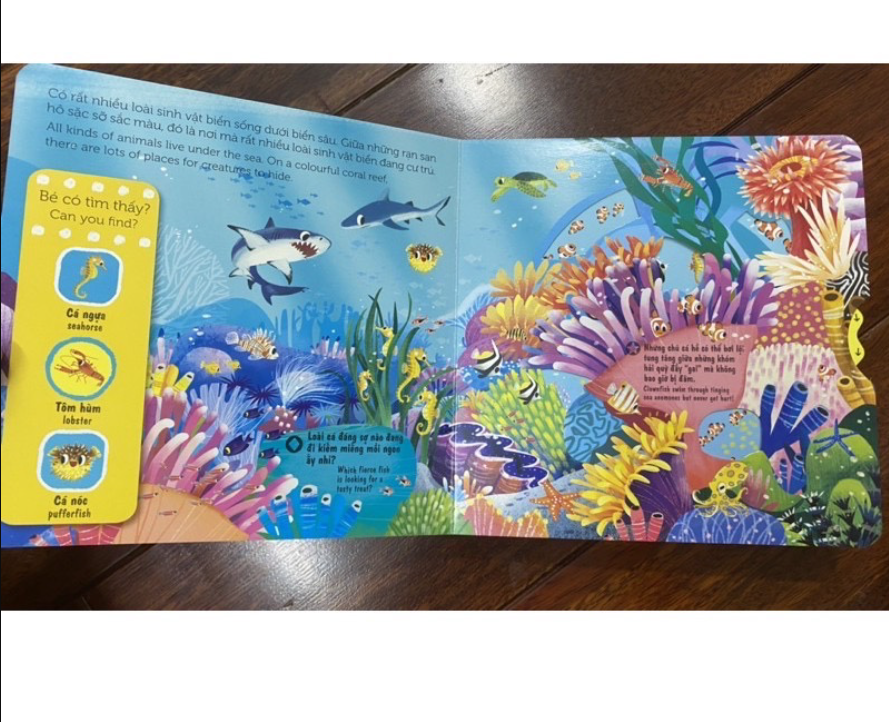 sach-chuyen-dong-sea-creatures-sinh-vat-bien1 sach chuyen dong sea creatures sinh vat bien1 - Tuyển Chọn Sách Hay