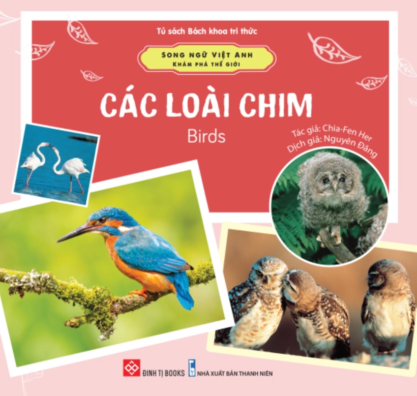 song-ngu-viet-anh---kham-pha-the-gioi---cac-loai-chim---birds song ngu viet anh kham pha the gioi cac loai chim birds - Tuyển Chọn Sách Hay