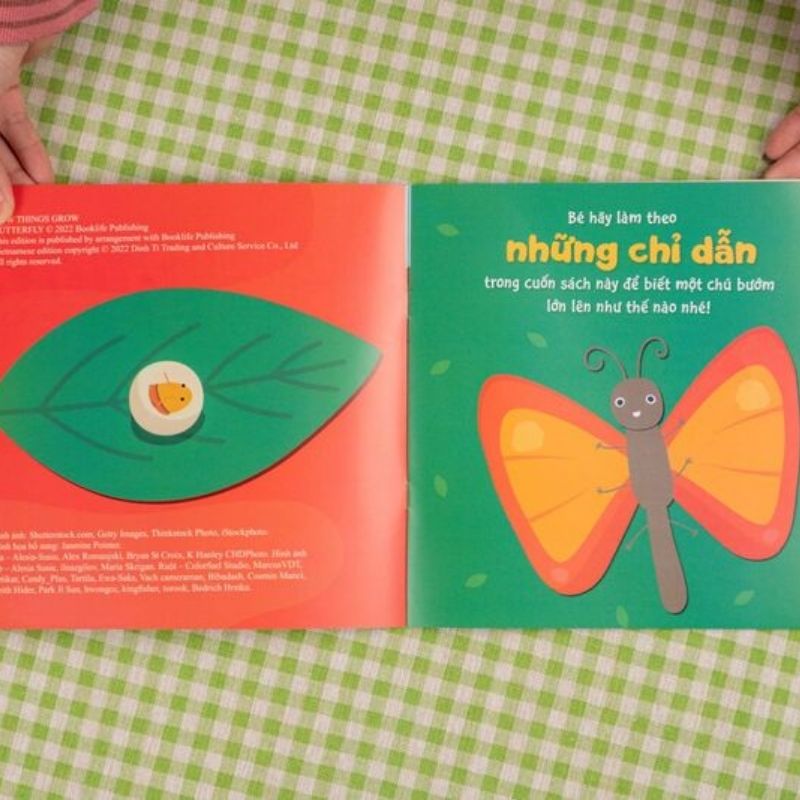 su-sinh-truong-ky-dieu-cua-van-vat---vong-doi-cua-buom (1) su sinh truong ky dieu cua van vat vong doi cua buom 1 - Tuyển Chọn Sách Hay
