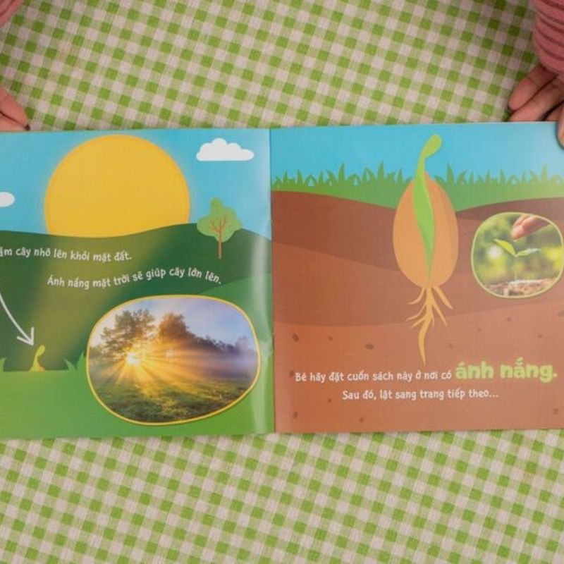 su-sinh-truong-ky-dieu-cua-van-vat---vong-doi-cua-cay (2) su sinh truong ky dieu cua van vat vong doi cua cay 2 - Tuyển Chọn Sách Hay