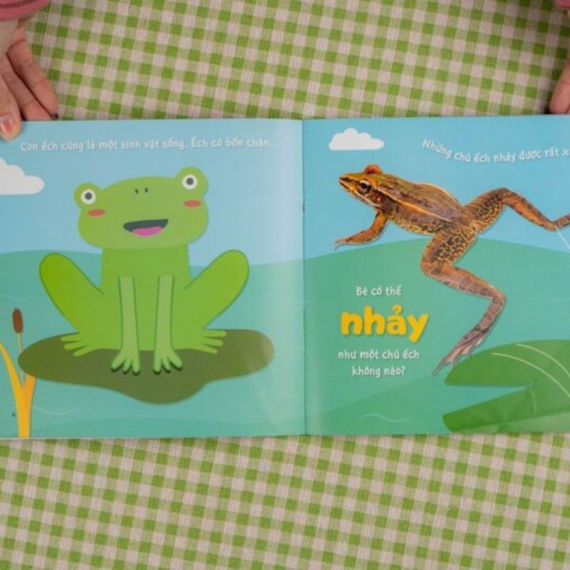 su-sinh-truong-ky-dieu-cua-van-vat---vong-doi-cua-ech (1) su sinh truong ky dieu cua van vat vong doi cua ech 1 - Tuyển Chọn Sách Hay