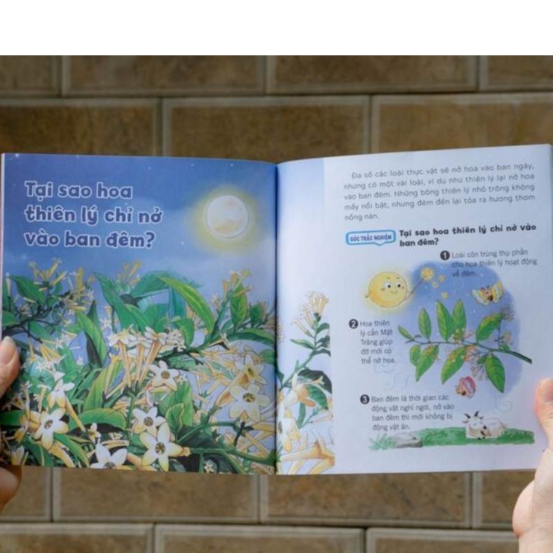 wow-thi-ra-la-the---bi-mat-nho-cua-thuc-vat (1) wow thi ra la the bi mat nho cua thuc vat 1 - Tuyển Chọn Sách Hay