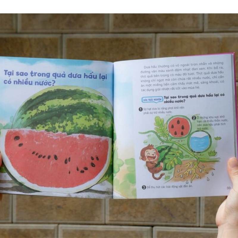 wow-thi-ra-la-the---bi-mat-nho-cua-thuc-vat (2) wow thi ra la the bi mat nho cua thuc vat 2 - Tuyển Chọn Sách Hay