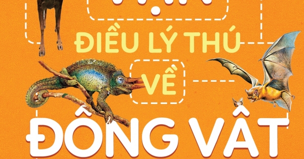 10 Vạn Điều Lý Thú Về Động Vật – Những Loài Độc Đáo