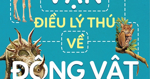 10 Vạn Điều Lý Thú Về Động Vật – Những Loài Ngộ Nghĩnh