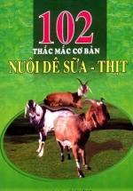102 Thắc Mắc Cơ Bản Nuôi Dê Sữa – Thịt
