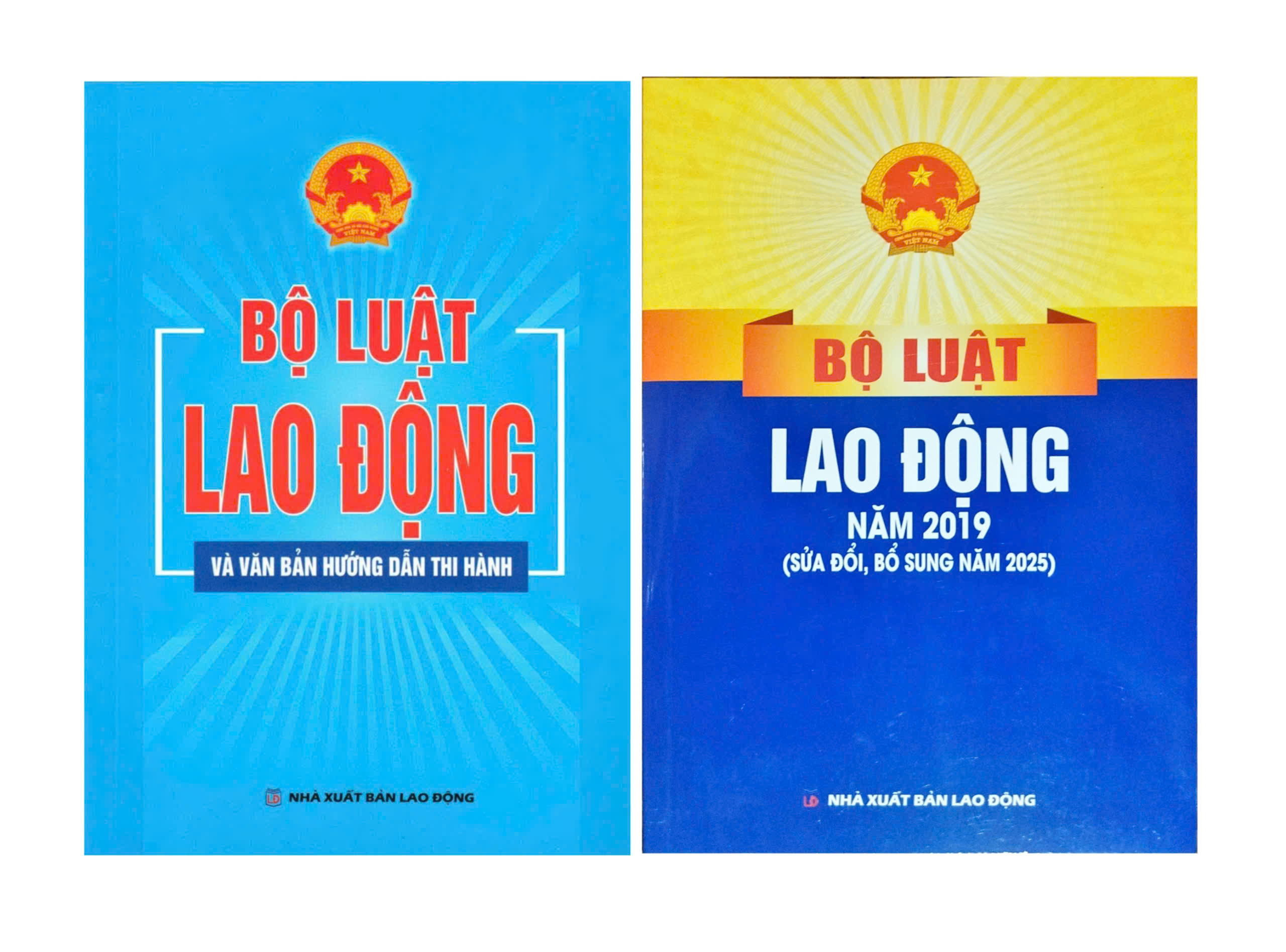 Bộ Luật Lao Động Năm 2019 + Bộ Luật Lao Động Và Văn Bản Hướng Dẫn Thi Hành (DH) (Bộ 2 Cuốn)