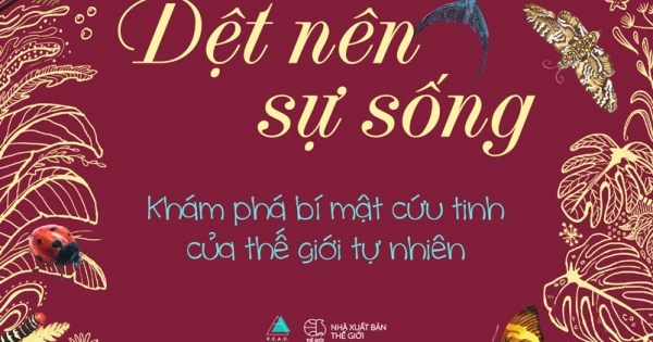 Dệt Nên Sự Sống: Khám Phá Bí Mật Cứu Tinh Của Thế Giới Tự Nhiên