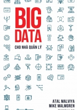 Big Data Cho Nhà Quản Lý