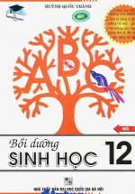 Bồi Dưỡng Sinh Học 12 – Huỳnh Quốc Thành