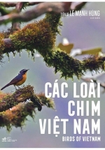 Các Loài Chim Việt Nam