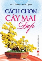 Cách Chọn Cây Mai Đẹp