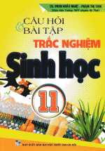 Câu Hỏi Và Bài Tập Trắc Nghiệm Sinh Học 11