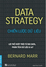 Chiến Lược Dữ Liệu