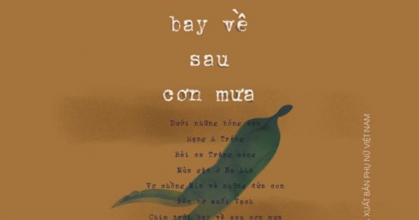 Chim Trời Bay Về Sau Cơn Mưa