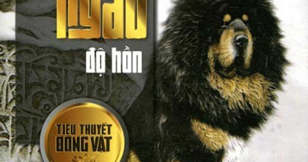 Chó Ngao Độ Hồn