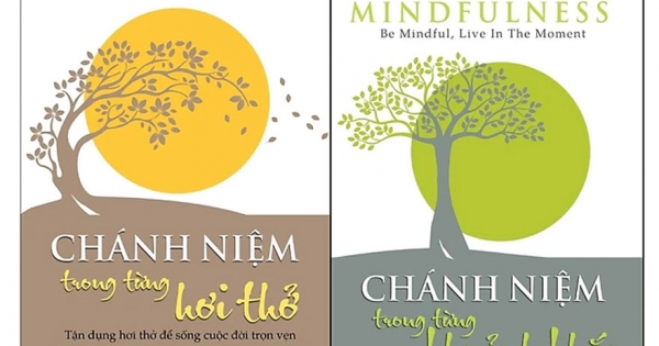 Combo Chánh Niệm Trong Từng Khoảnh Khắc + Chánh Niệm Trong Từng Hơi Thở  (Bộ 2 Cuốn)