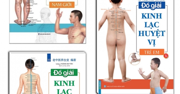 Combo Đồ Giải Kinh Lạc Huyệt Vị: Nam Giới + Nữ Giới + Trẻ Em (Bộ 3 Cuốn)