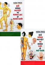 Combo Đồ Hình Huyệt Vị Kinh Lạc Ở Nam Giới Và Nữ Giới (Bộ 2 Cuốn)