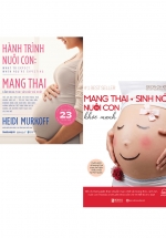 Combo Hành Trình Nuôi Con: Mang Thai – Sinh Nở Và Nuôi Con Khỏe Mạnh (2 Cuốn)