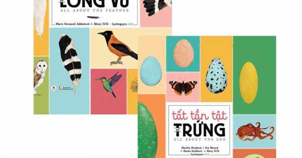 Combo Tất Tần Tật Về: Lông Vũ + Trứng (Bộ 2 Cuốn)