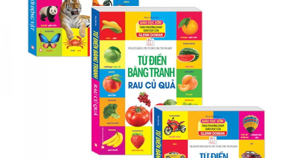 Combo Từ Điển Bằng Tranh