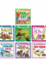 Combo Từ Điển Hình Ảnh Cho Bé 1 (Bộ 7 Cuốn)