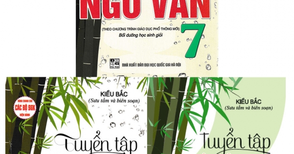 Combo Tuyển Tập Đề Kiểm Tra Môn Ngữ Văn Bồi Dưỡng Học Sinh Giỏi Lớp 7, 8, 9 (Dùng Chung Cho Các Bộ SGK Hiện Hành)