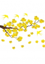 Decal Mai Vàng Và Chim Én Đón Xuân 2
