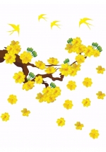 Decal Mai Vàng Và Chim Én Đón Xuân 3