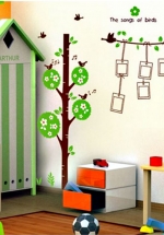 Decal Trang Trí Cây Vòng Tròn Và Khung Ảnh