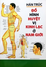 Đồ Hình Huyệt Vị Kinh Lạc Ở Nam Giới