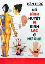 Đồ Hình Huyệt Vị Kinh Lạc Ở Nữ Giới