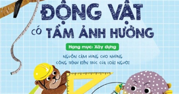 Động Vật Có Tầm Ảnh Hưởng – Hạng Mục: Xây Dựng – Nguồn Cảm Hứng Cho Những Công Trình Kiến Trúc Của Loài Người