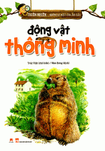 Thiên Nhiên – Những Bí Mật Còn Ẩn Giấu – Động Vật Thông Minh