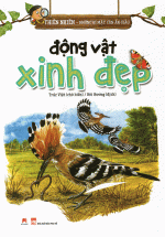 Thiên Nhiên – Những Bí Mật Còn Ẩn Giấu – Động Vật Xinh Đẹp