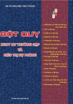 Đột Quỵ – Nguy Cơ Thường Gặp Và Điều Trị Dự Phòng