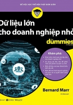 Dữ Liệu Lớn Cho Doanh Nghiệp Nhỏ For Dummies