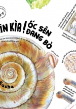 Ehon – Nhìn Kìa! Ốc Sên Đang Bò
