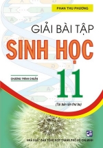 Giải Bài Tập Sinh Học 11 – Chương Trình Chuẩn