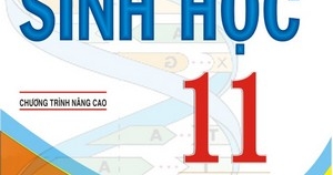 Giải Bài Tập Sinh Học 11 – Chương Trình Nâng Cao