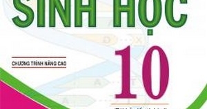 Giải Bài Tập Sinh Học 10 – Chương trình Nâng Cao