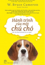 Hành Trình Của Một Chú Chó