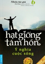 Hạt Giống Tâm Hồn 6 – Ý Nghĩa Cuộc Sống