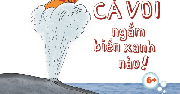 Hãy Cùng Cá Voi Ngắm Biển Xanh Nào! 6+