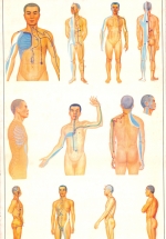 he thong kinh lac L - Tuyển Chọn Sách Hay