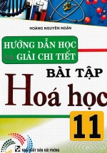 Hướng Dẫn Học Và Giải Chi Tiết Bài Tập Hóa Học 11