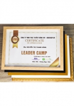 Khung Bằng Khen Composite, Mặt Mica Treo Tường Để Bàn 21X30cm(A4) (Trắng, Vàng, Nâu Gỗ, Đen)