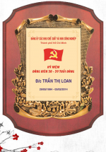 Kỷ Niệm Chương Gỗ Đồng KNC12
